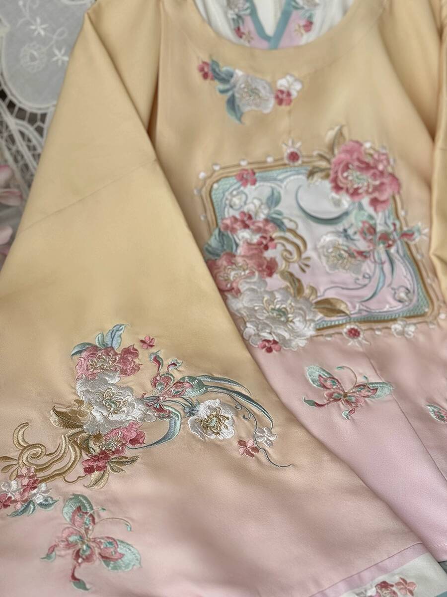 New Hanfu Women Ming System Ro - Embroidery Skirt 评论和价格